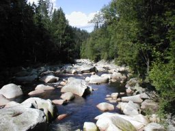 2004 2. běh